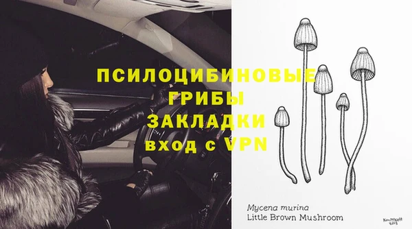 винт Абаза