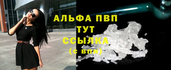 винт Абаза