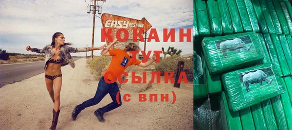 Альфа ПВП Аша