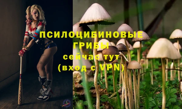 герыч Абинск