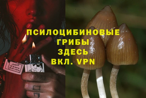 герыч Абинск