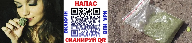 Бошки Шишки план Плавск